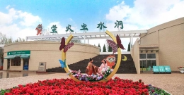 萤火虫水洞