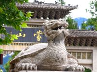 沂蒙山旅游区龟蒙景区5A